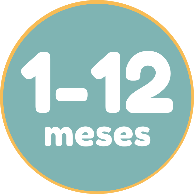 1-12 meses