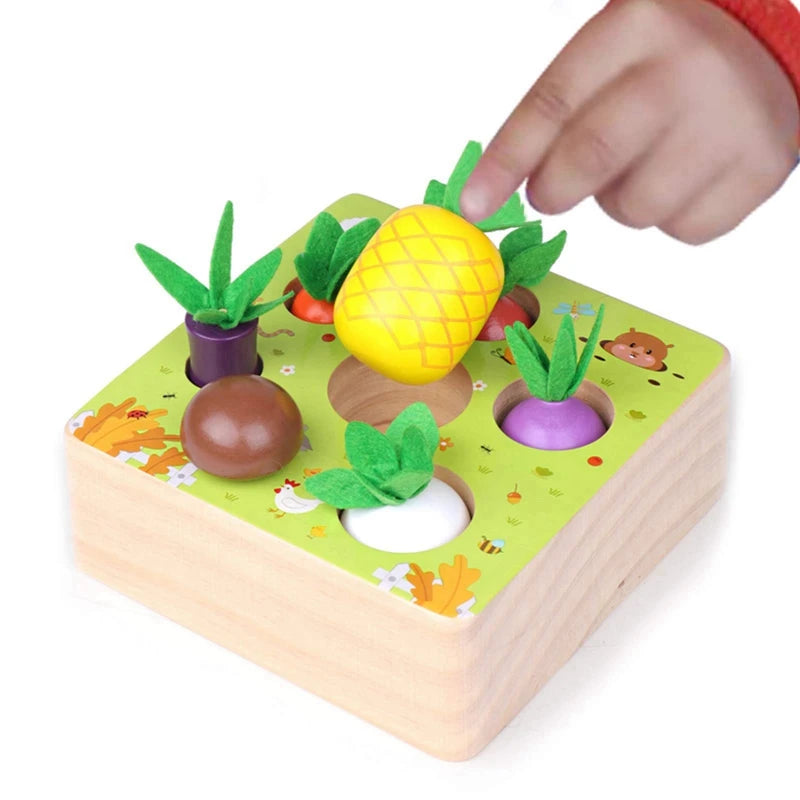 Conjunto de Vegetais Montessori