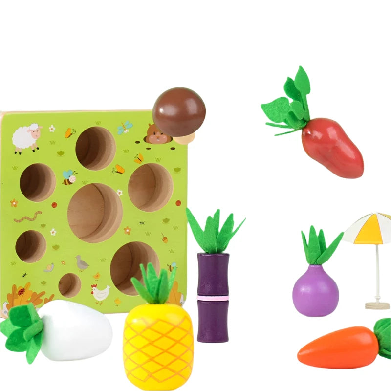 Conjunto de Vegetais Montessori