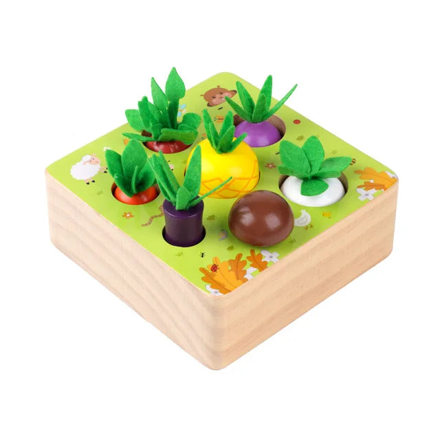 Conjunto de Vegetais Montessori